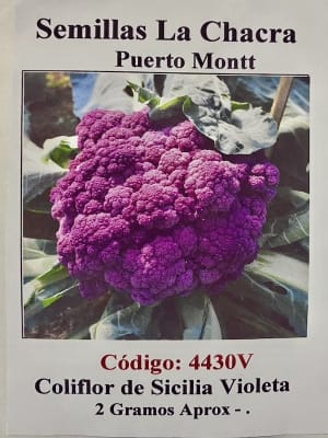 Coliflor de Sicilia: VIOLETA