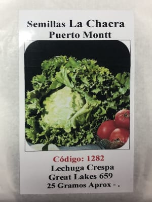 Lechuga Great Lakes 659 (Col de Nápoles) 25 Gramos