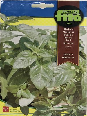 ALBAHACA GIGANTE GENOVESA