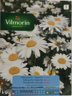 MARGARITA GIGANTE BLANCA (318i)