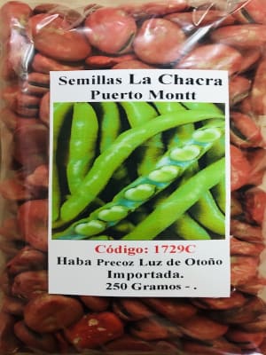 Habas Blanca Luz de Otoño Importada ENVASE 250 GRAMOS