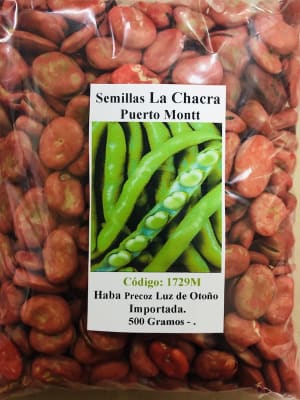 Habas Blanca Luz de Otoño Importada Envase 500 Gramos