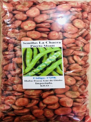 Habas Blanca Luz de Otoño Importada KILO