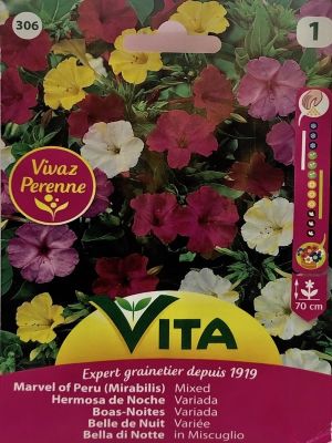 BELLA DE NOCHE COLORES VARIADOS