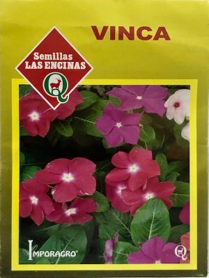 Vinca Rosea Colores Variados