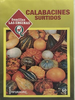 Calabacín Surtido