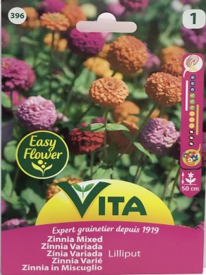 ZINNIA MEDIANA 50 CM.