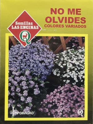 Myosotis (No me olvides)