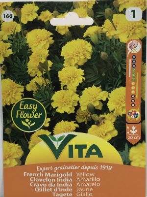 CLAVELON DE LA INDIA AMARILLO 1,5 GM.