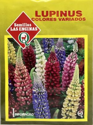 Lupinus