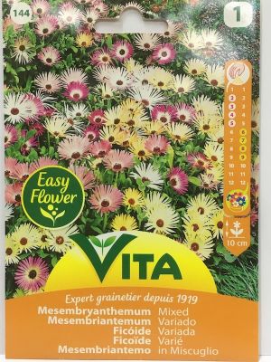 RAYITO DE SOL  TAPIZ MAGICO