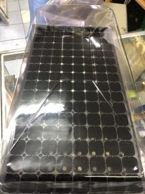 Tapa Cerrada Almaciguera