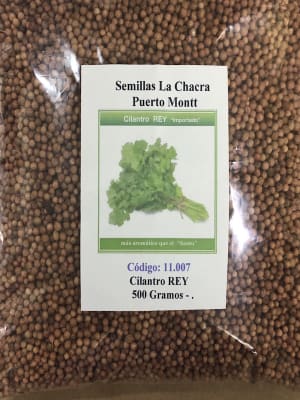Cilantro Rey ( El más Aromático) 500 Gramos