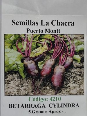 Betarraga Cilíndrica