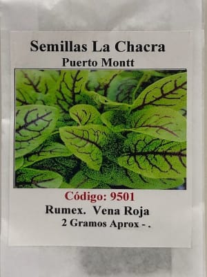 Rumex 