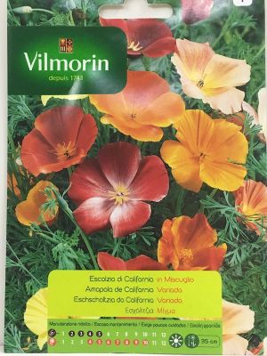 AMAPOLA  DE CALIFORNIA VARIADA.