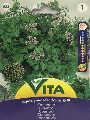 CILANTRO 3 Gramos
