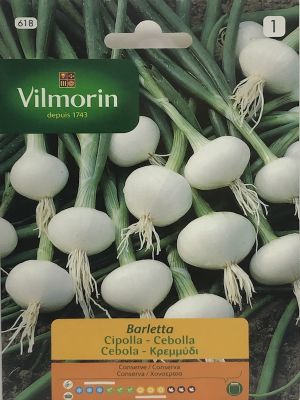 CEBOLLA  BLANCA BARLETTA