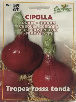 CEBOLLA ROJA