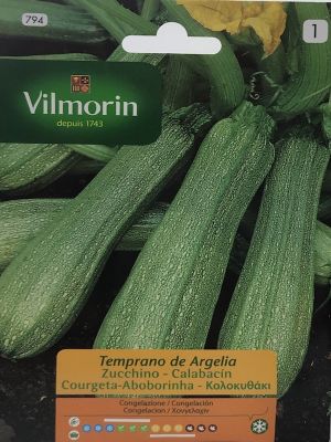 ZAPALLO ITALIANO DE ARGELIA 3 Gramos