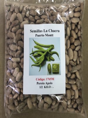 Poroto Verde: Variedad Apolo. 500 Gramos