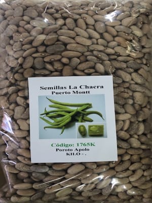 Poroto Verde: Variedad Apolo Kilo