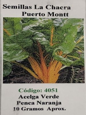 Acelga Verde Penca Naranja 10 Gramos