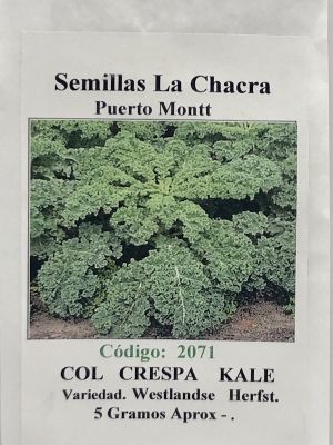 Kale Crespo 5 Gramos