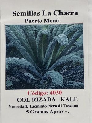 Kale Verde Rizado 5 Gramos