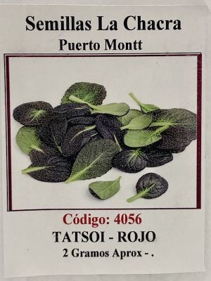 Tatsoi Rojo