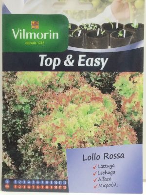 LECHUGA LOLLO ROSSA 4 Gramos