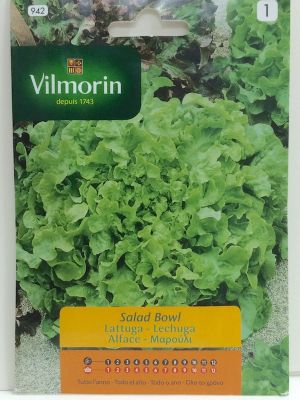 LECHUGA SALAD BOWL 7 Gramos