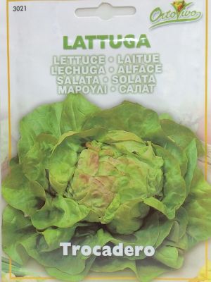 LECHUGA TROCADERO