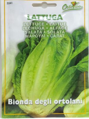 LECHUGA BIONDA ROMANA