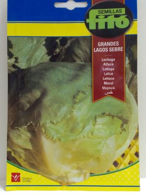 LECHUGA REPOLLADA GRANDES LAGOS SEBRE