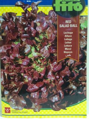 LECHUGA RED SALAD BALL