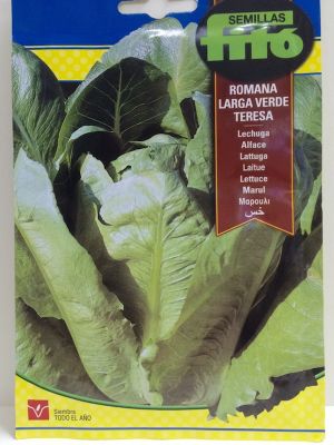 LECHUGA LARGA VERDE TERESA