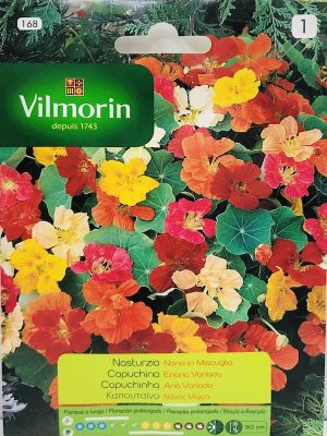 CAPUCHINA ENANA COLORES VARIADOS