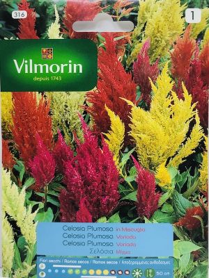 CELOSIA PLUMOSA VARIADA 0,8 Gramos.