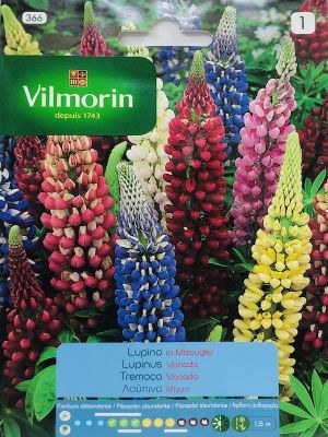 LUPINO VARIADO (314 I)