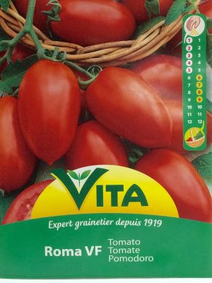 TOMATE ROMA