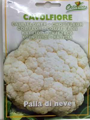 COLIFLOR PELOTA DE NIEVE