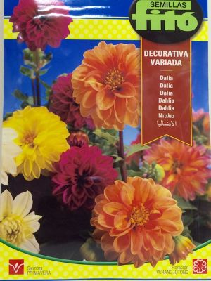 DALIA GIGANTE DECORATIVA VARIADA