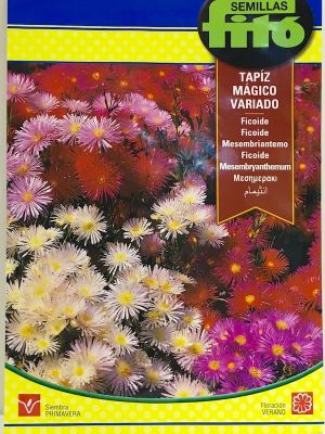 RAYITO DE SOL. TAPIZ MÁGICO VARIADO