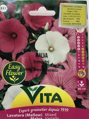 MALVA VARIADA