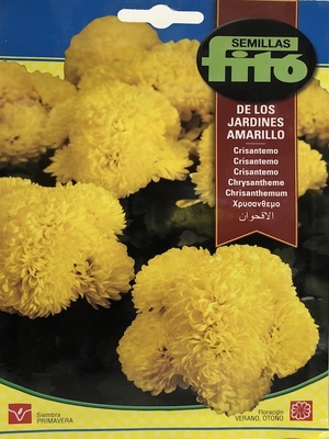 CRISANTEMOS DE LOS JARDINES AMARILLO