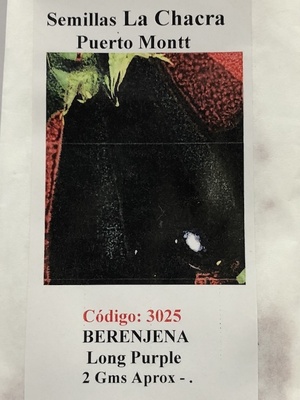 Berenjena Long-Purple