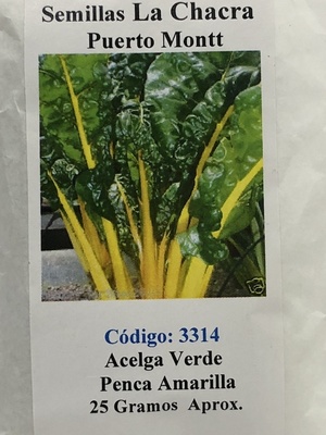 Acelga Verde 25 Gramos Penca Amarilla