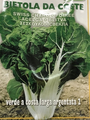 ACELGA ARGENTATA 5 Gramos