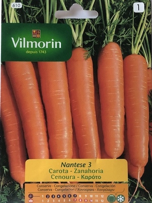 ZANAHORIA NANTESA 4 GRAMOS